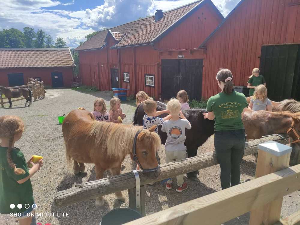 287666941 716867416229101 8619708703532586353 n