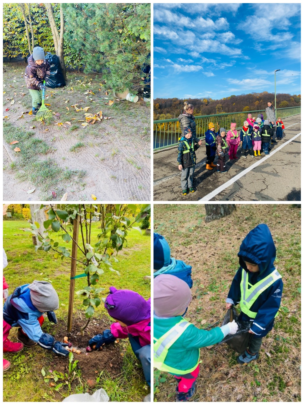 geri darbai gamtai. milda bružaitė saridayi