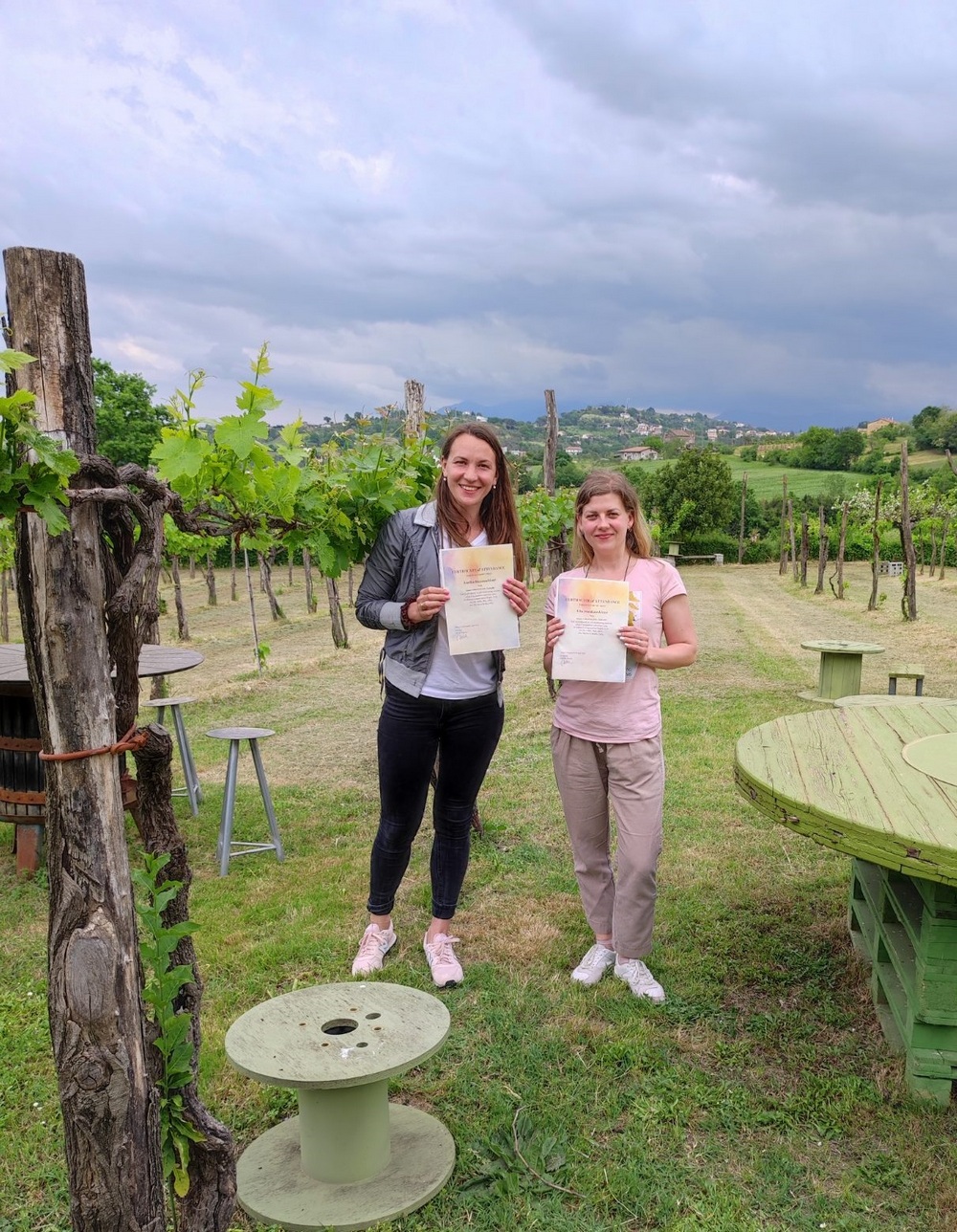 img 566f4f713989074339d04266b6b78960 v